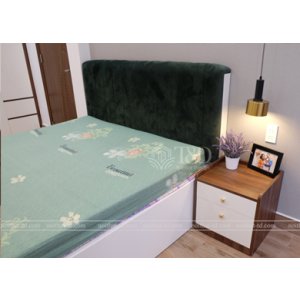 Giường Ngủ 1m6